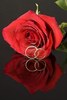 2845943-red-rose-and-wedding-rings