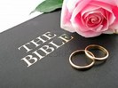 5022607-one-pink-rose-and-two-wedding-bands-on-the-bible