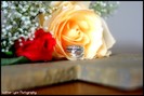 1879061391_1f0791504f_b