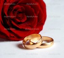 depositphotos_1068921-Rose-and-wedding-rings