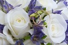 depositphotos_2244635-Wedding-rings-and-roses