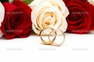 depositphotos_2874085-Roses-and-wedding-rings-isolated