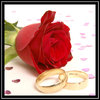 rose-and-rings-a
