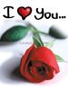 b-451553-i_love_you