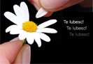 poze_TE-IUBESC_07