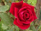 3545478170_8c1f0d6578_b