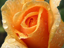 image02