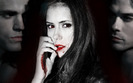 vampire_diaries_wallpaper_by_anime_reality_840762_79823