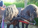 dsc03527
