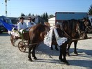 dsc03534