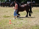 dsc03970