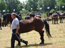 dsc03973