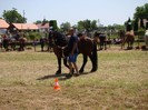 dsc03979