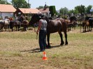 dsc03980