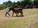 dsc03988