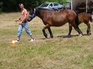 dsc03990