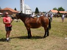 dsc04000