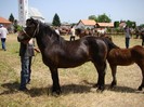 dsc04008