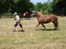 dsc04009