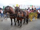 dsc05662