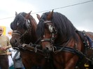 dsc05726