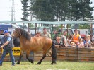 DSC07537