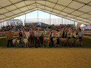 Int. Landwirtschaftsmesse Ried 2011 c