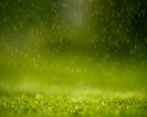 Creative_Wallpaper_Green_rain_019178_