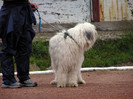 buzau 2004 27
