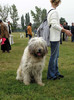 buzau 2004 43