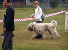 buzau 2004 44