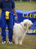 buzau 2004 51