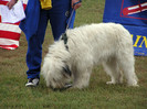 buzau 2004 54