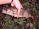 CIMG0457