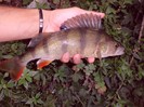 CIMG0458