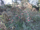 1 oct 2011 007