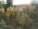 1 oct 2011 008