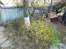1 oct 2011 031