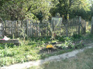 1 oct 2011 035
