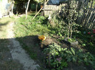 1 oct 2011 038