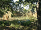 1 oct 2011 050