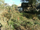 1 oct 2011 054