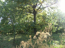 1 oct 2011 080