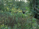 1 oct 2011 016
