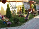 flori 083