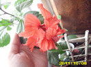 Picture 010