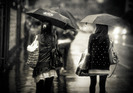 umbrellas_in_the_rain_by_fbuk