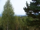 100_8043