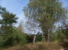 100_8189