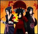 images (27)